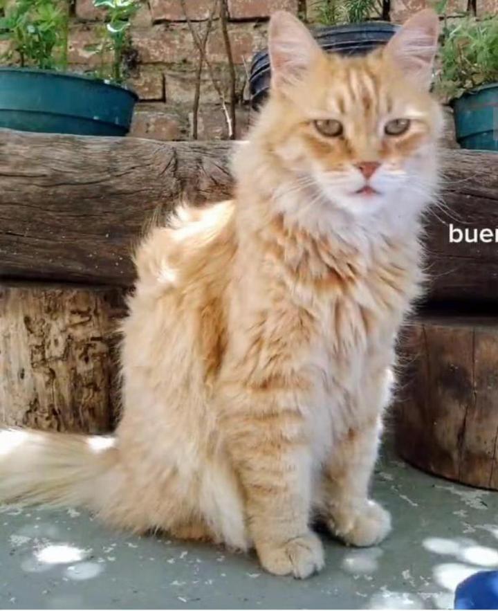 B&B Garden Atelier La Cumbre Εξωτερικό φωτογραφία