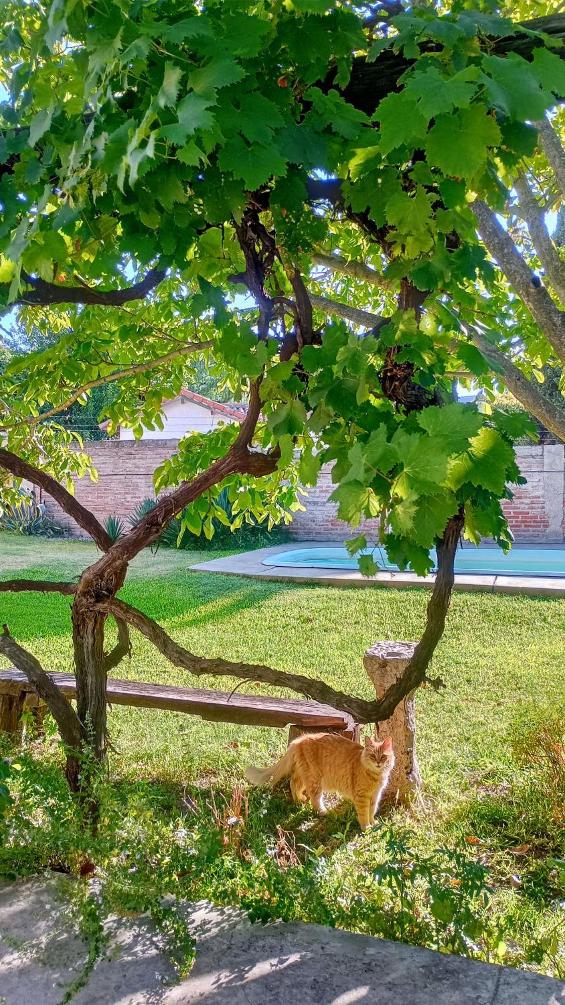 B&B Garden Atelier La Cumbre Εξωτερικό φωτογραφία